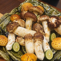 柚木元 - 松茸とヌメリスギタケモドキ