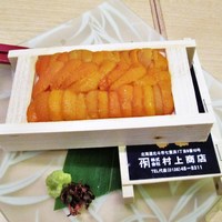 函館うに むらかみ 日本生命札幌ビル店 - 無添加木箱入り生うに刺し（50ｇ）
                    