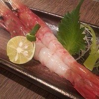 きりゅう - 