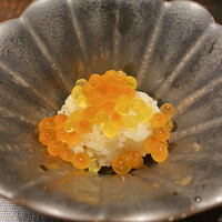 神楽坂 よこ田 - 