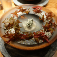 jinen. - 王様椎茸