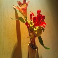 御曹司 松六家 - 