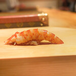 鮨 尚充 - 車エビ