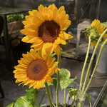 青山フラワーマーケット ティーハウス - 