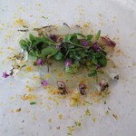 ラ ヴィオレッタ - 