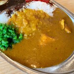 カレーの店 SPICE - ミックスカレー エッグ入り
            ビーフ(中辛)&チキン(辛口)カレー 730円