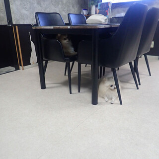 ハッピーわん_2