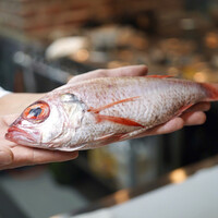 割烹きたろう - 