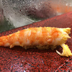 すし宗達 - 三河産車海老