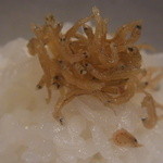 新ばし 星野 - ごはんにおじゃこをのせて