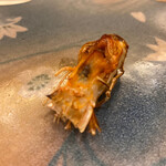 鮨と日本料理 ふう - 