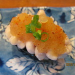 富梅 - 2012.11.24　白子