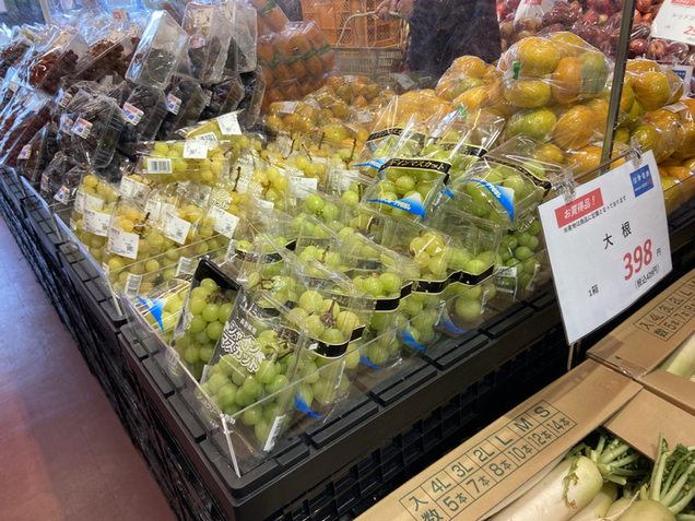 北海道☆お野菜屋さん まるでマルシェな八百屋さん「フィッジワーカー」 | おひとり様