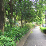 アビオファームズマーケット - 駅までの道はまだ夏の気配が残ります