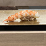 梅田 鮨 よこ田 - 車海老