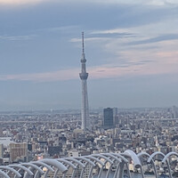 RESTAURANT LUKE with SKY LOUNGE - 