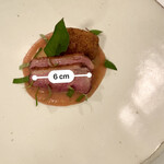 カーサ カルマ - かち