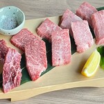 Assortment of premium meat