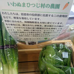 食菜館ひまわり - グループの農園さんのお野菜売ってましたミャ