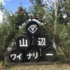 山辺ワイナリー