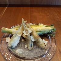 MATSU - 