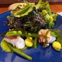 MATSU - 