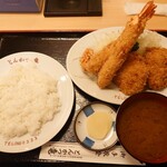 Tonkatsu Ryuu - 特製ミックス