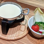 CHEESE KITCHEN RACLER - 