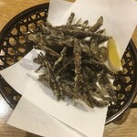 春のお店 - どじょう唐揚