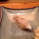 龍寿し - H24.11  カスゴ