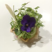 ロドラント ミノルナキジン - 