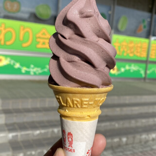 道の駅おおうち_1