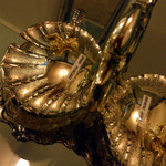 ナーガルジュナ - ピクルス