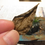 神保町 傳 - 参った