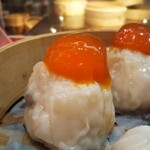 Daruma Shuumai - 