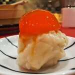 Daruma Shuumai - 