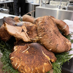 The INNOCENT CARVERY - 