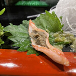 宝寿司分店 - 蟹味噌入りズワイガニ