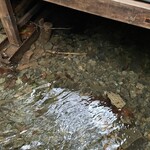 ふじや - この透明度！！