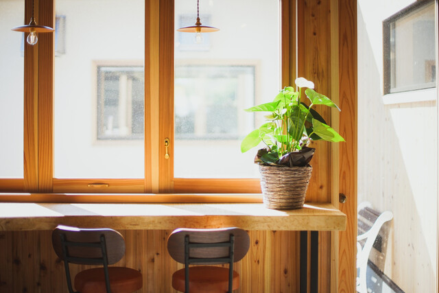 Organic Cafe Tentoumushi Batake photo 4