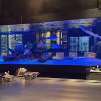 鉄板DINING集 栄店 - サメ水槽
