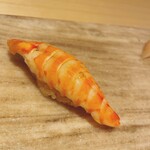 すし寿 - 連れの車海老を撮らせてもらいました