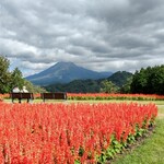 レストラン 花かいろう - 季節は･･･秋