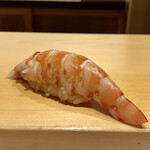 鮨 はしもと - 車海老
      レアな加減の火の入りがとても食べた時の食感として活かされしっとりした甘みが柔らかく拡がります♪