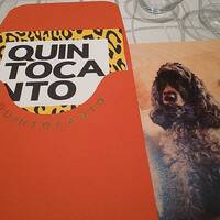 クイントカント - 