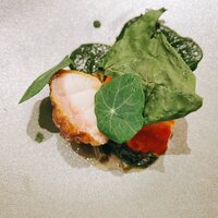 クイントカント - 