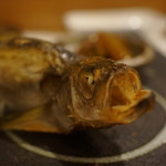 千春鮨 - はたはた