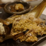 千春鮨 - こっこ〜