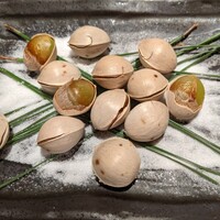 魚屋あらまさ 川崎店 - 
