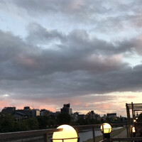 京料理 先斗町 富美家 - 